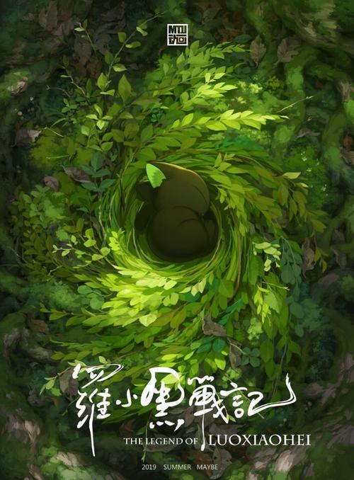帕多瓦大学会计文凭证书